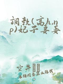 调教(高h,np)妃子妻妾