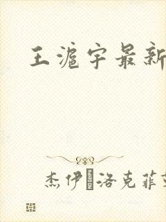 王沪宇最新简介