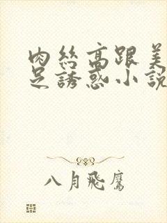 肉丝高跟美腿玉足诱惑小说