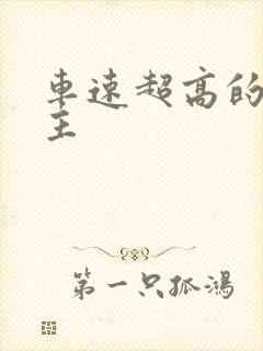 车速超高的双男主