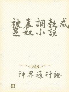 被表调教成她的足奴小说