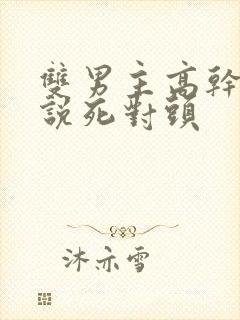 双男主高干文小说死对头