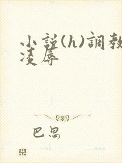 小说(h)调教凌辱