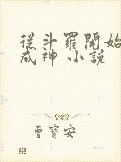 从斗罗开始逆天成神 小说