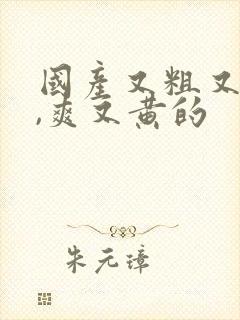 国产又粗又猛又,爽又黄的