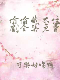 偷偷藏不住电视剧全集免费11