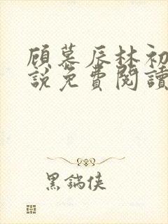 顾慕辰林初荔小说免费阅读最新章节