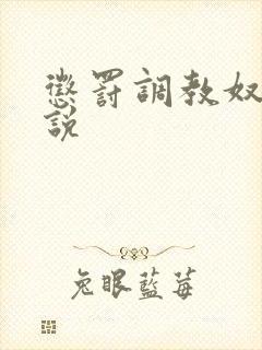 惩罚调教奴隶小说