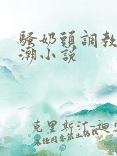 骚奶头调教h高潮小说