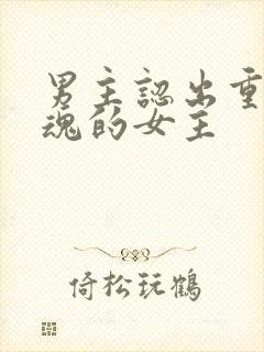 男主认出重生还魂的女主