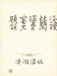 顾宴琛林浅月小说免费阅读最新章节