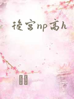后宫np高h