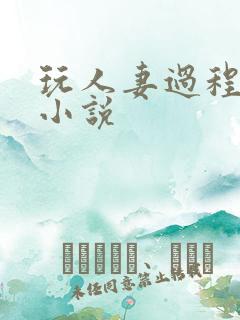 玩人妻过程详细小说