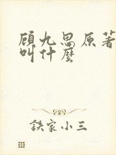 顾九思原著小说叫什么