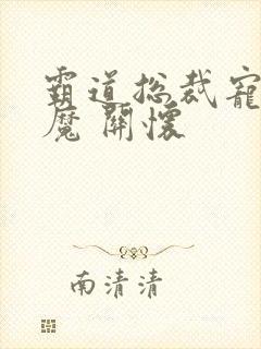 霸道总裁宠妻狂魔 关怀