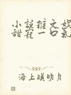 小说推文娱乐圈甜宠一口气看完