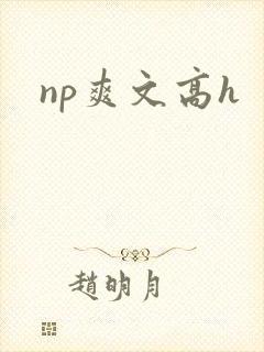 np爽文高h