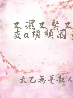 又湿又紧又大又爽a视频国产