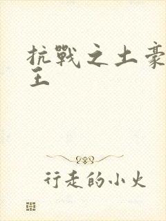 抗战之土豪东北王