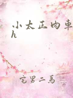 小太正肉车文高h