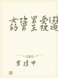 女攻男受|强大的男主被迫成m调教