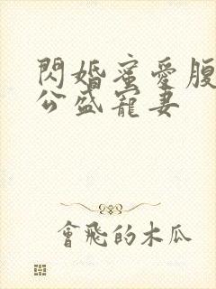 闪婚蜜爱腹黑老公盛宠妻