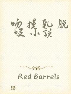 吻 摸 乳 脱 吸 小说