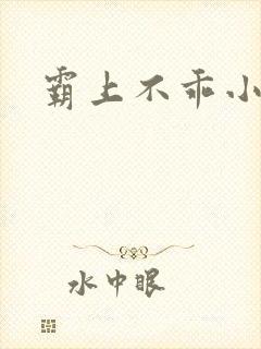 霸上不乖小逃妻