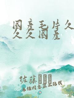 国产毛片久久久久久国产