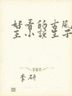 好看的古风双男主小说生子