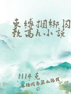 束缚捆绑囚禁调教高h小说