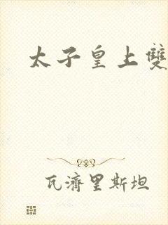 太子皇上双男主