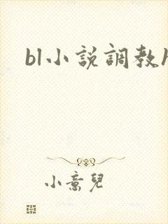 bl小说调教h