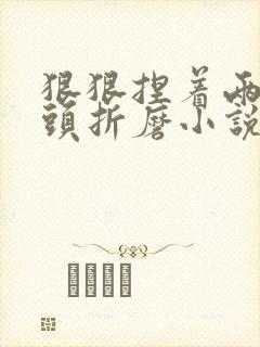 狠狠捏着两个奶头折磨小说