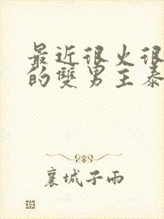 最近很火很好看的双男主泰剧2023