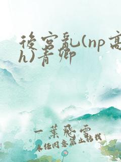 后宫乱(np高h)青卿
