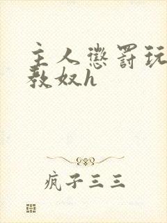 主人惩罚玩弄调教奴h