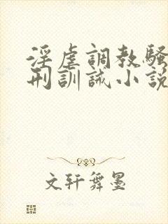 淫虐调教骚奴淫刑训诫小说