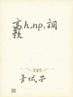 高h,np,调教
