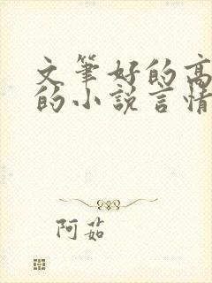 文笔好的高质量的小说言情