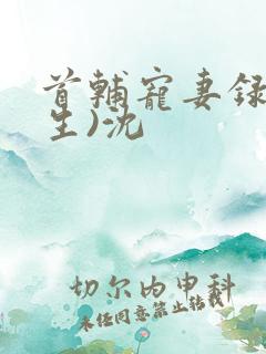 首辅宠妻录(重生)沈