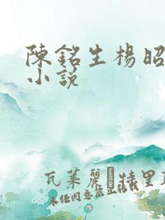 陈铭生杨昭原著小说