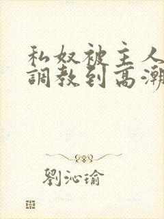 私奴被主人玩弄调教到高潮视频