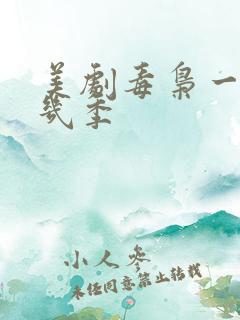 美剧毒枭一共有几季