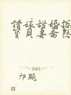 错嫁甜婚总裁的宝贝妻乔然,左辰夜的小说