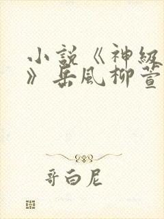 小说《神级狂婿》岳风柳萱