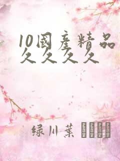 10国产精品久久久久久