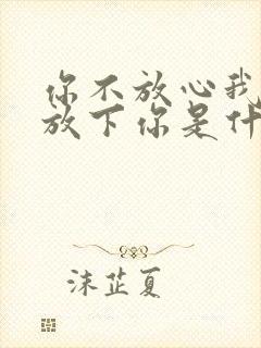 你不放心我我不放下你是什么歌