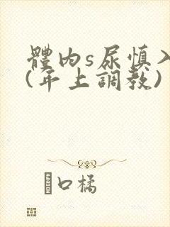 体内s尿慎入h(年上调教)