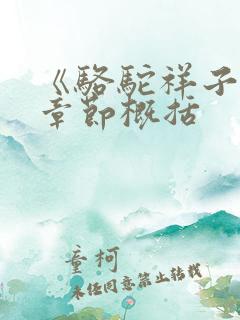 《骆驼祥子》每章节概括